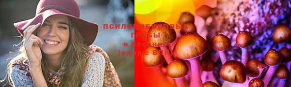 spice Абдулино