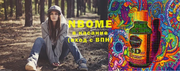 ПСИЛОЦИБИНОВЫЕ ГРИБЫ Абаза